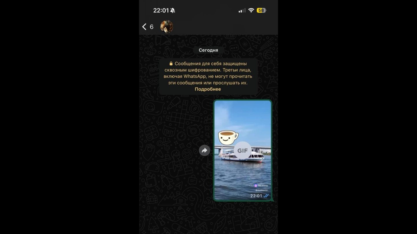 Источник: CQ / Настройки WhatsApp*