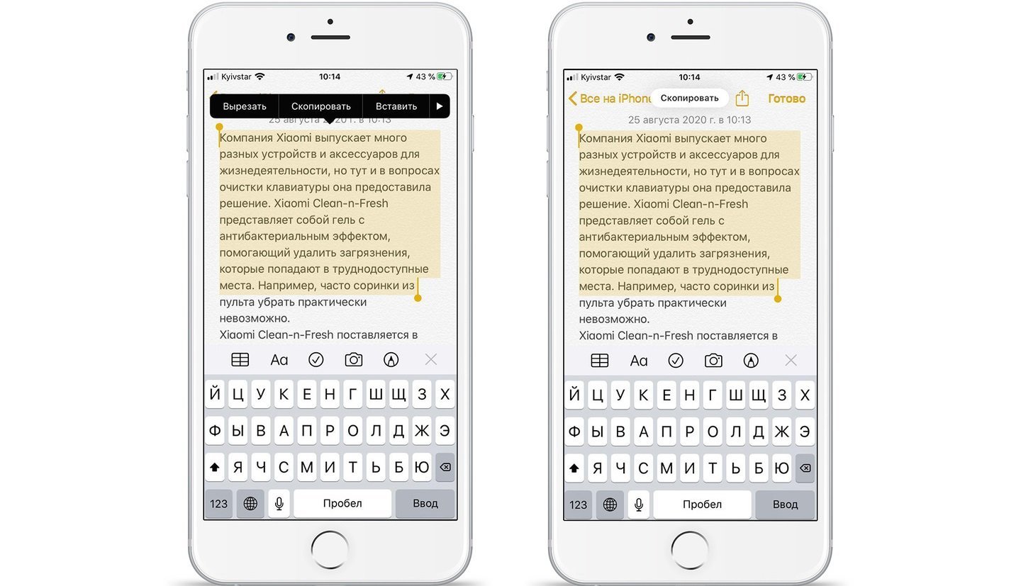 Источник: MacTime / Копирование текста на iPhone