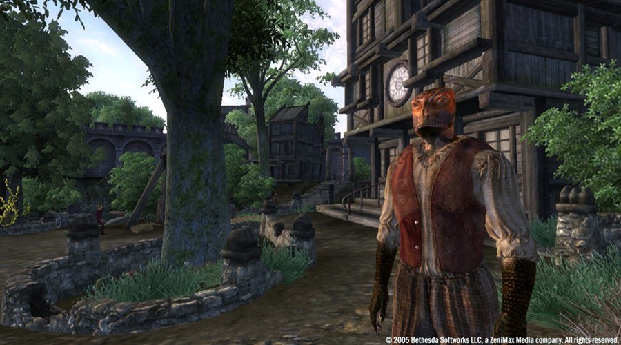 Источник: TES 4: Oblivion