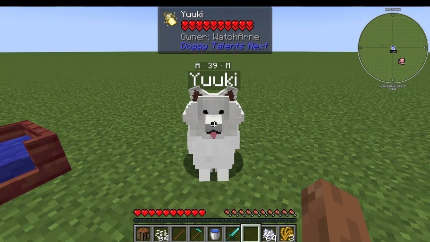 Источник: CQ.ru / Doggy Talents