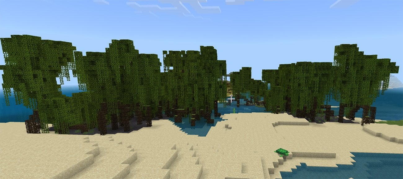 Источник: CQ.ru / Мангровые деревья