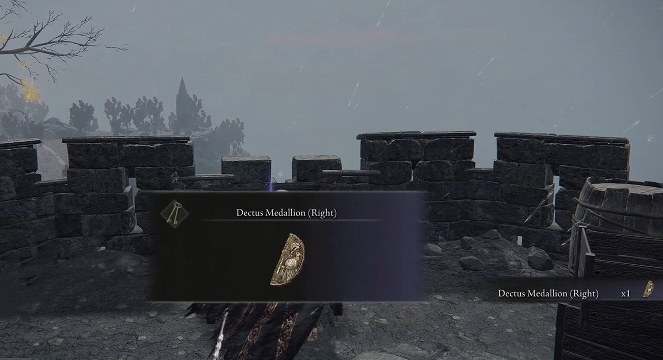 Источник: скриншот CQ.ru / Правая часть Медальона Дектуса