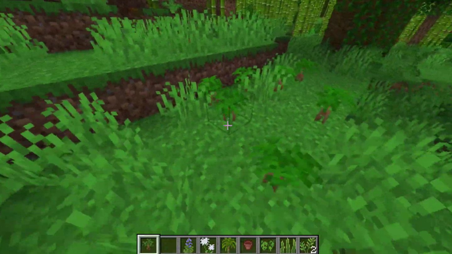 Источник: CQ.ru / Лучшие моды на растения