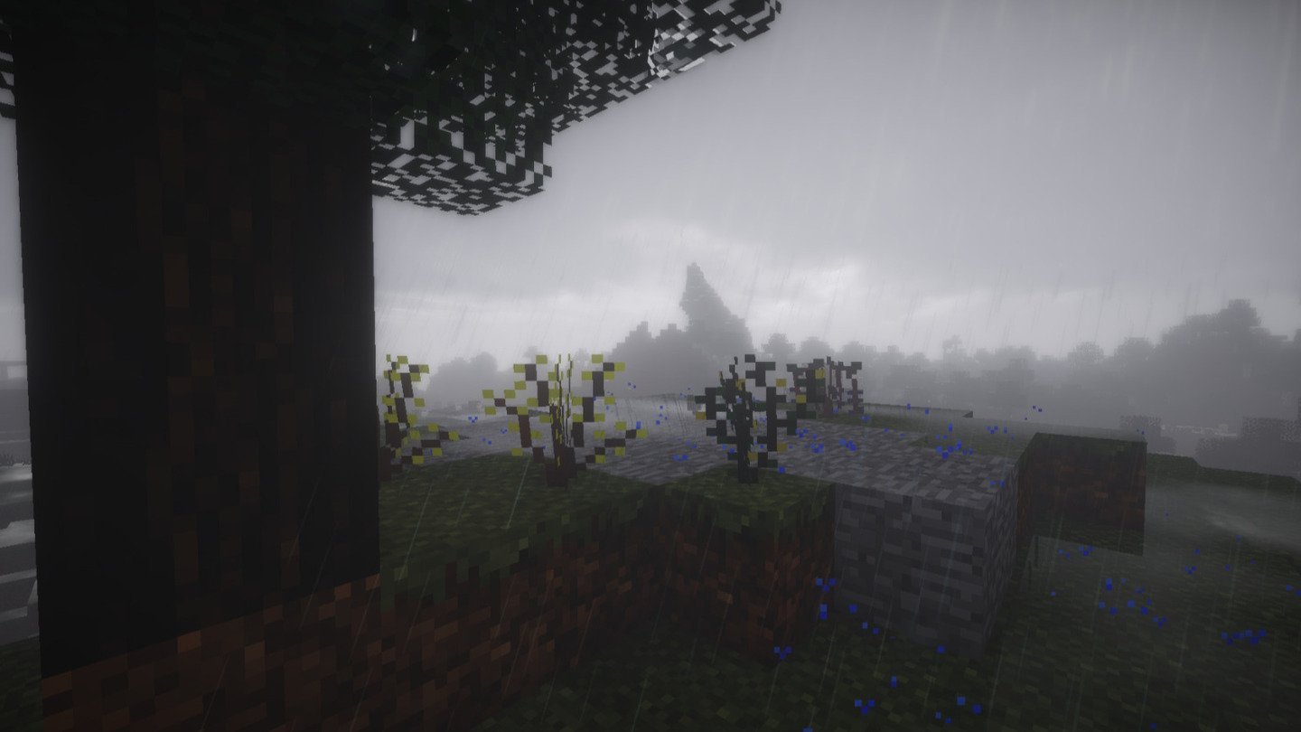 Источник: CQ.ru / Лучшие моды на растения