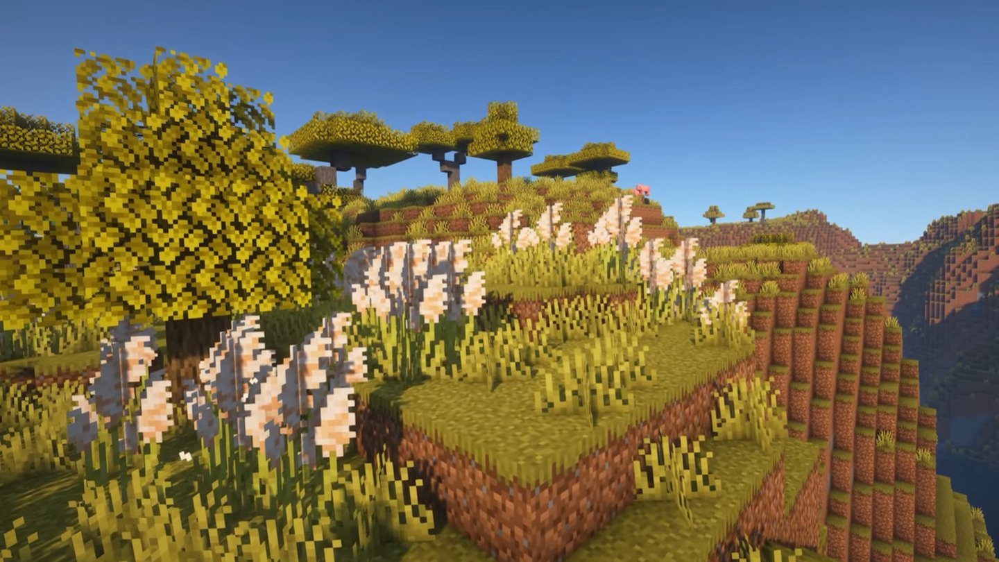 Источник: CQ.ru / Лучшие моды на растения