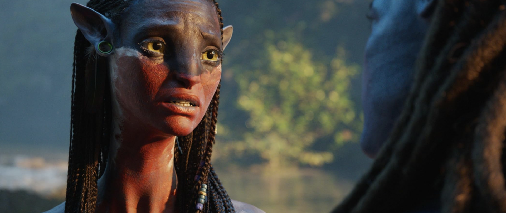 Аватар: огонь и пепел