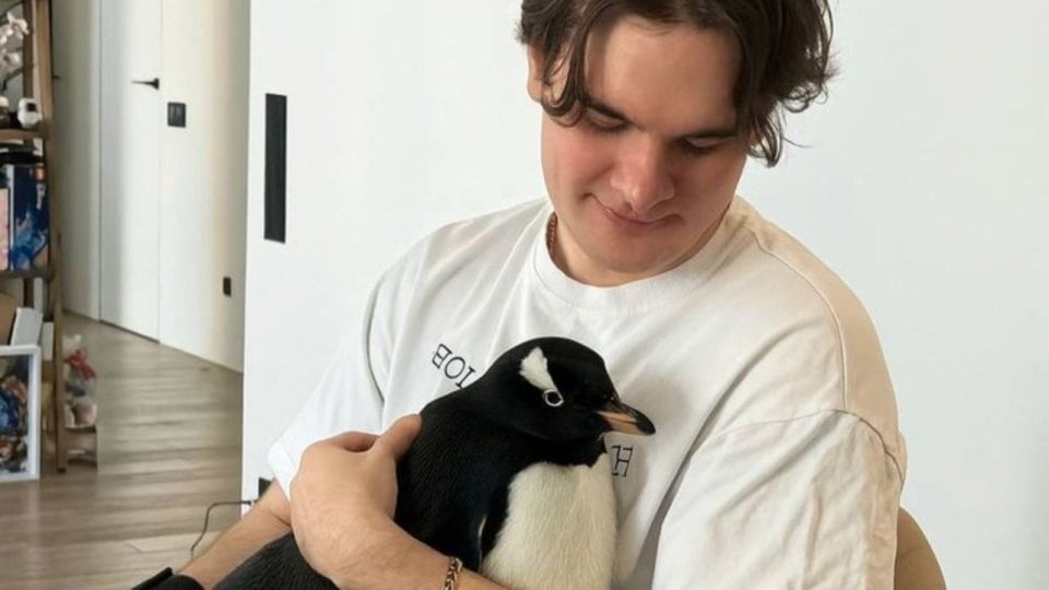 Источник: скриншот CQ.ru / фотошоп от подписчика Братишкина