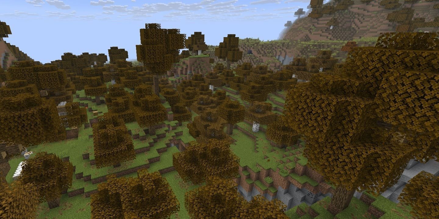 Источник: скриншот CQ.ru / Осенний лес