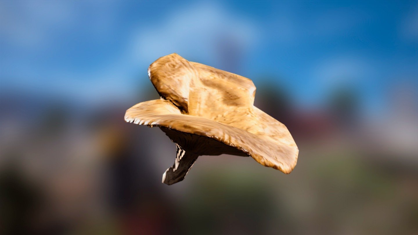 Где фармить грибы для прокачки Скрэппи в Arc Raiders