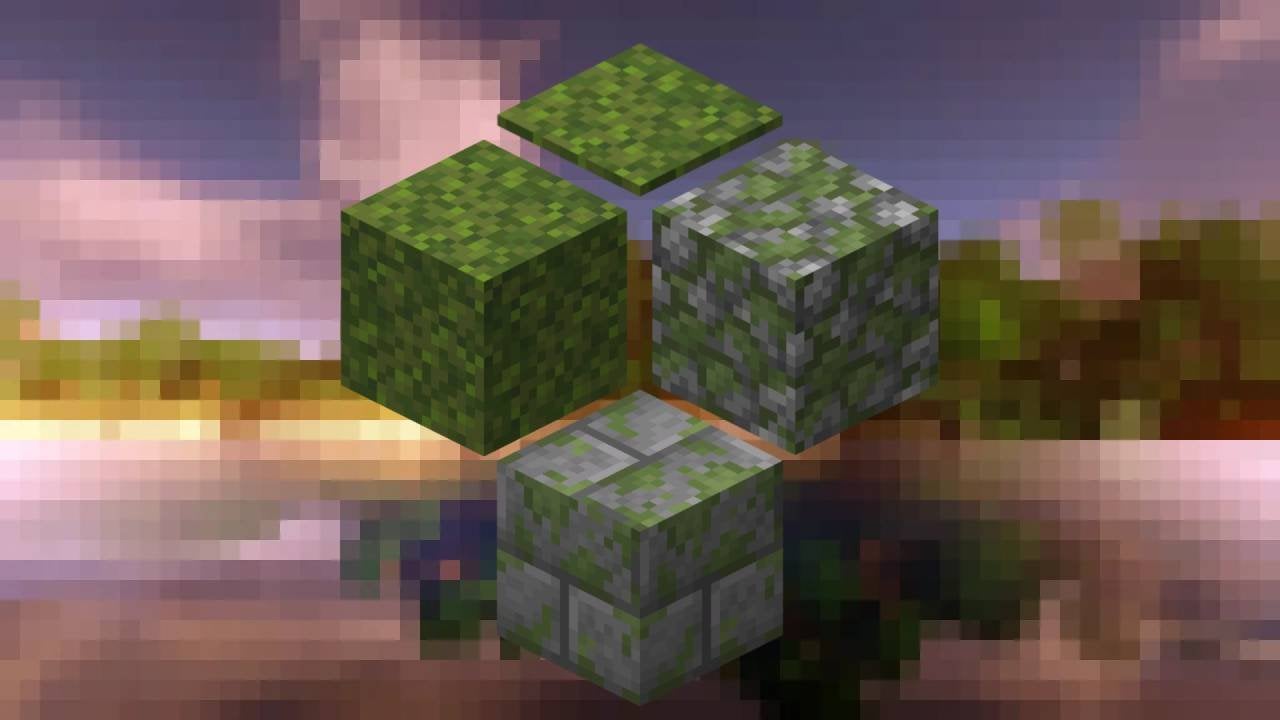 Скриншот CQ.ru / Все виды мха