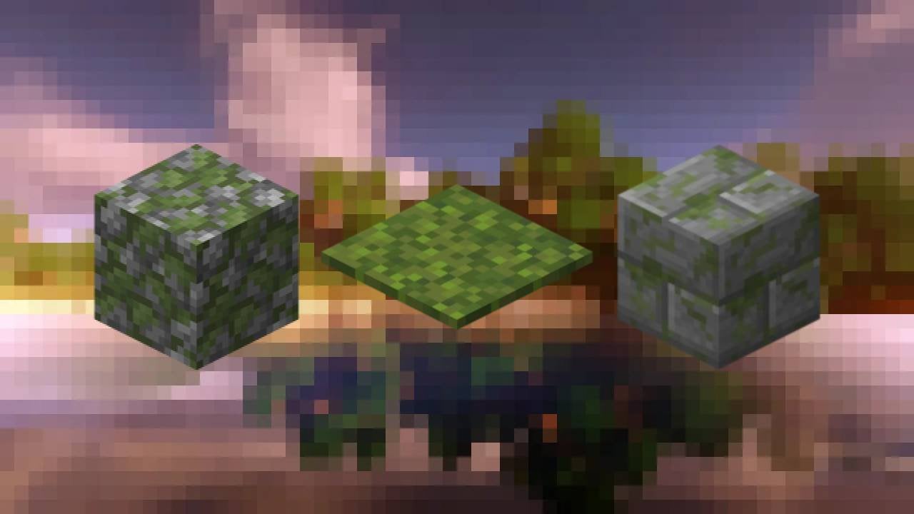 Скриншот CQ.ru / Что можно сделать из мха