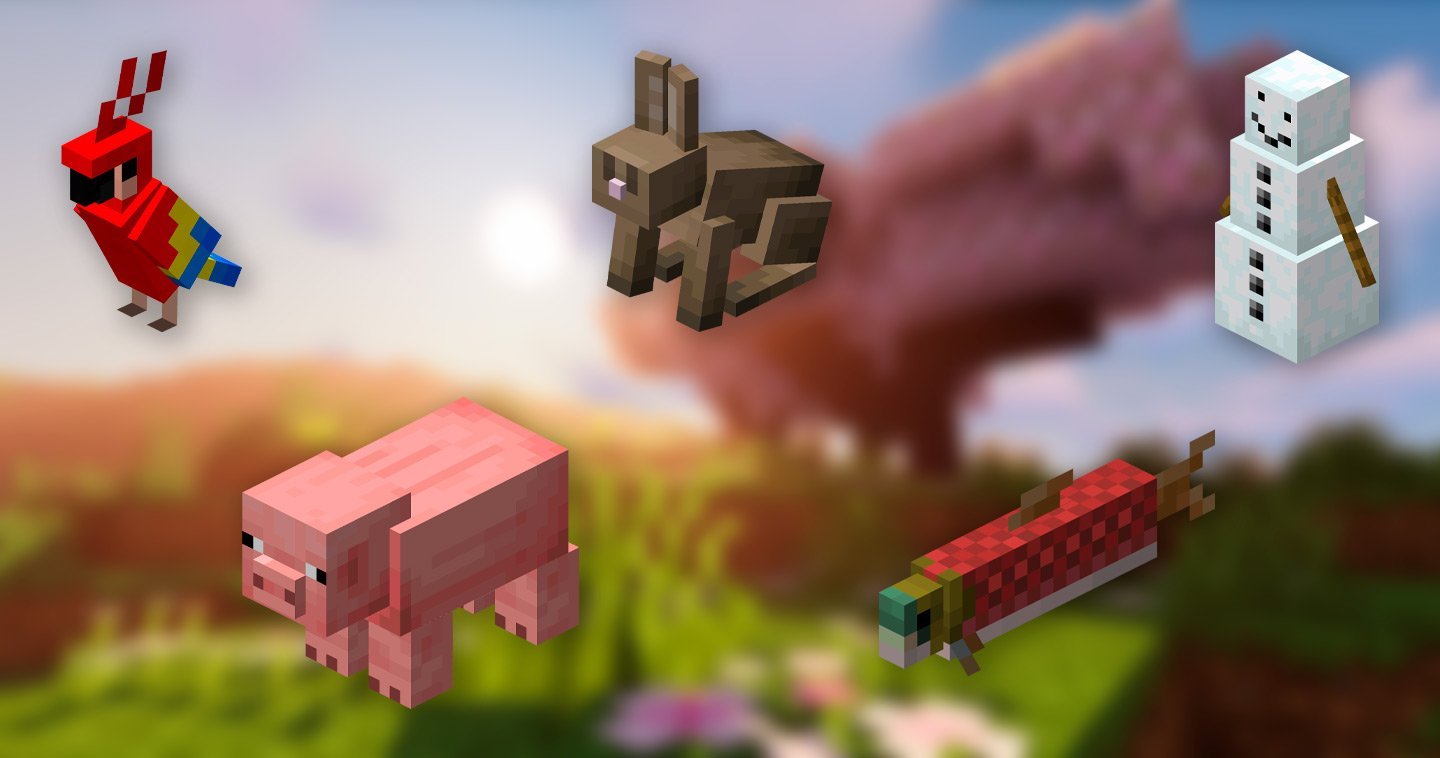 Источник: CQ.ru