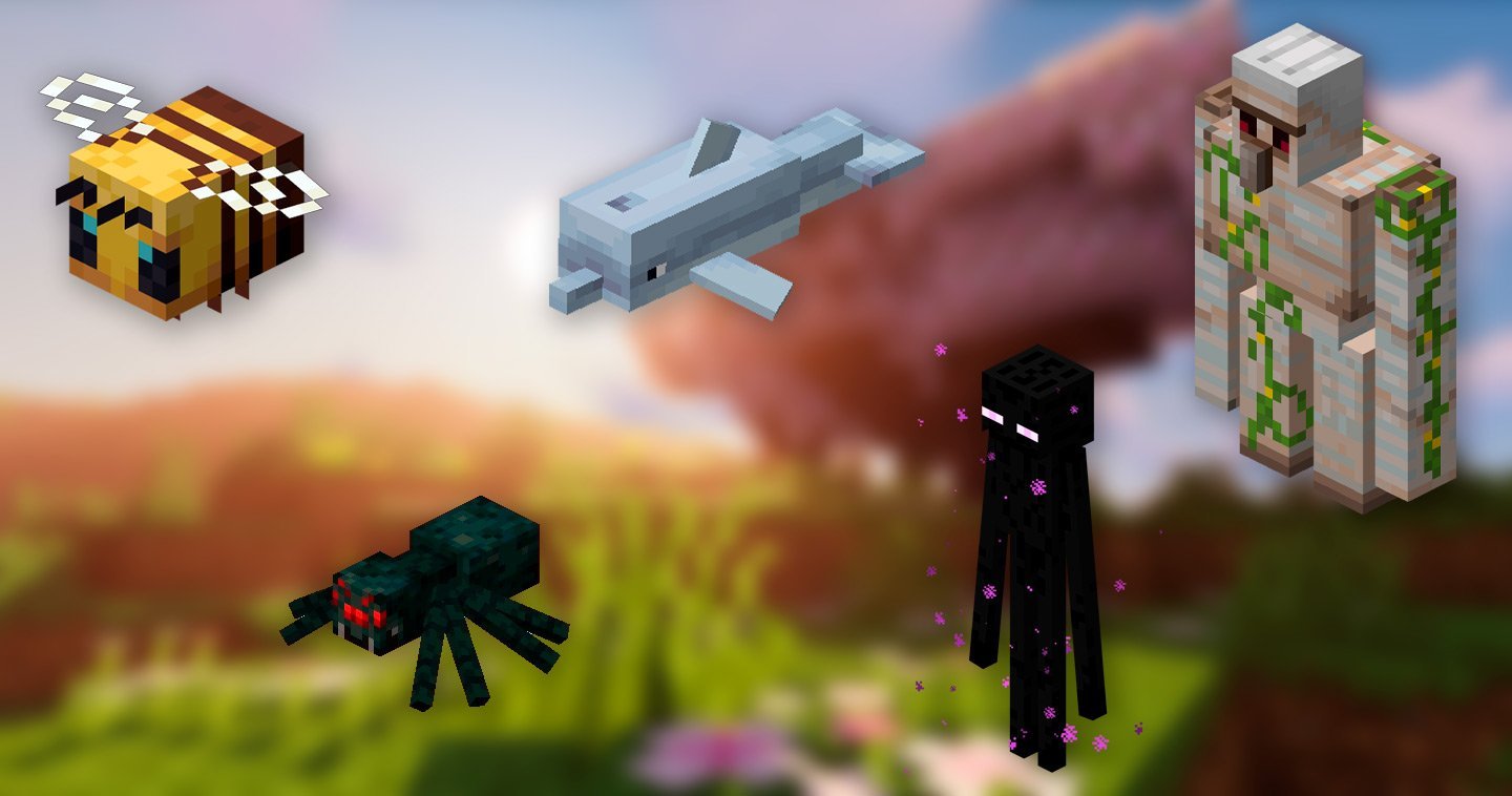 Источник: CQ.ru