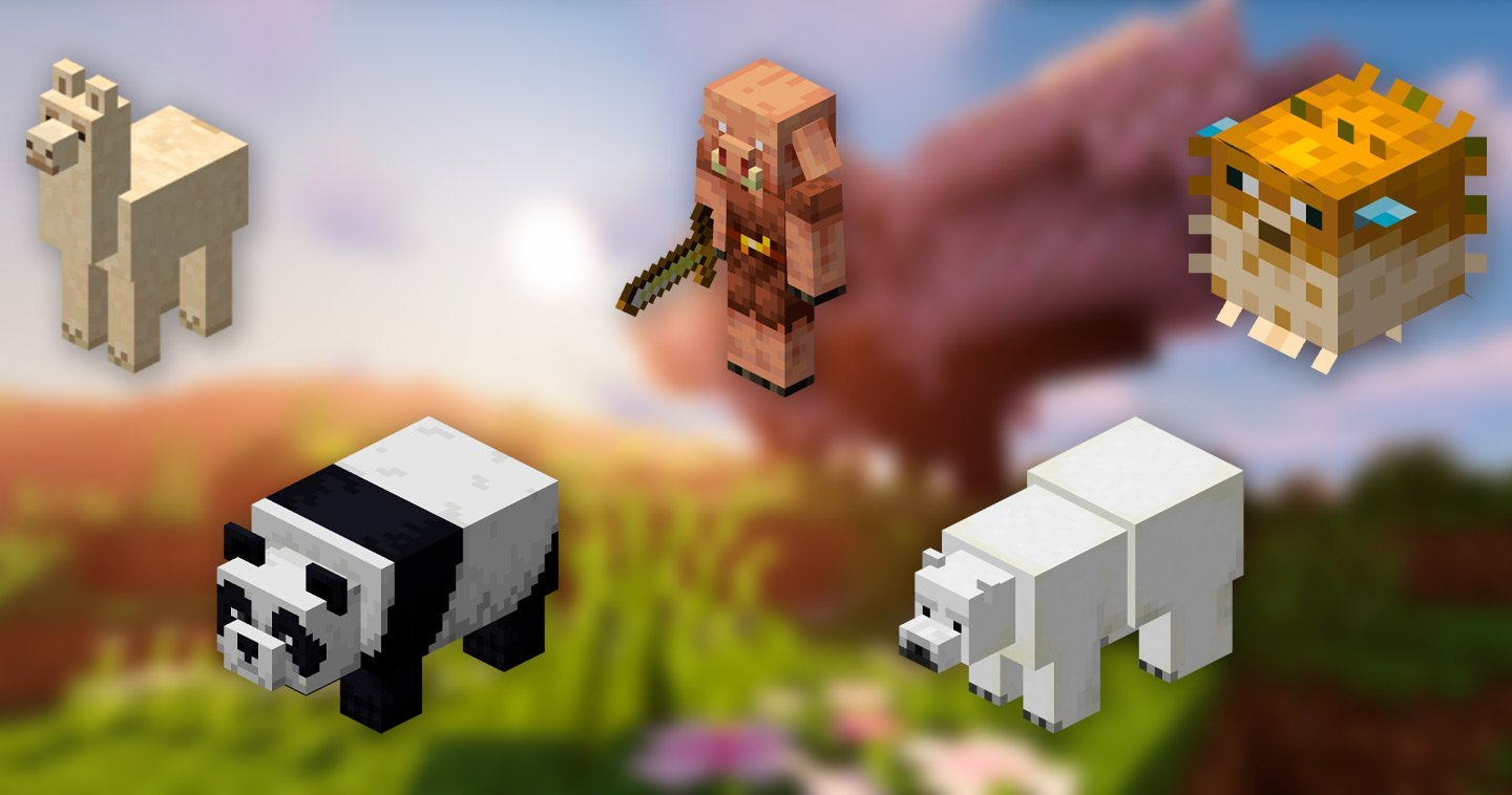 Источник: CQ.ru