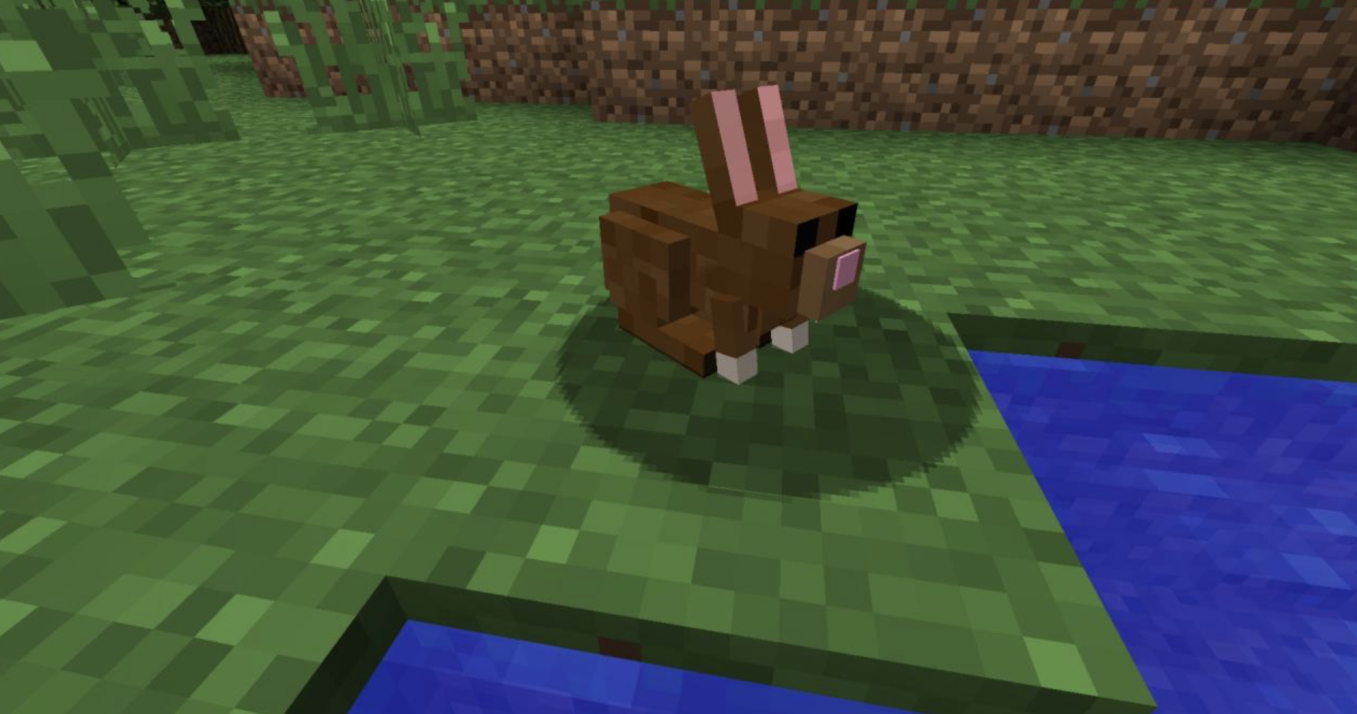 Источник: скриншот CQ.ru