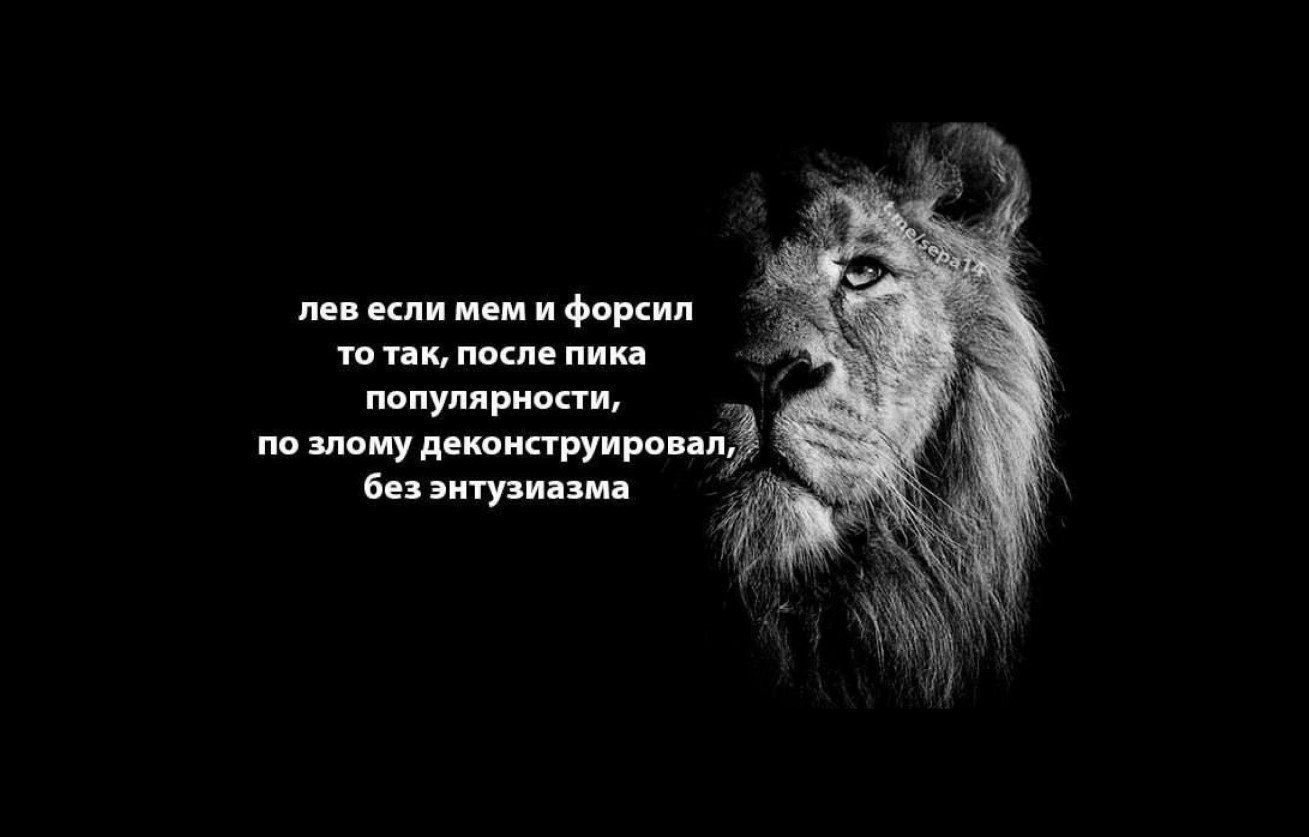 Мемный лев