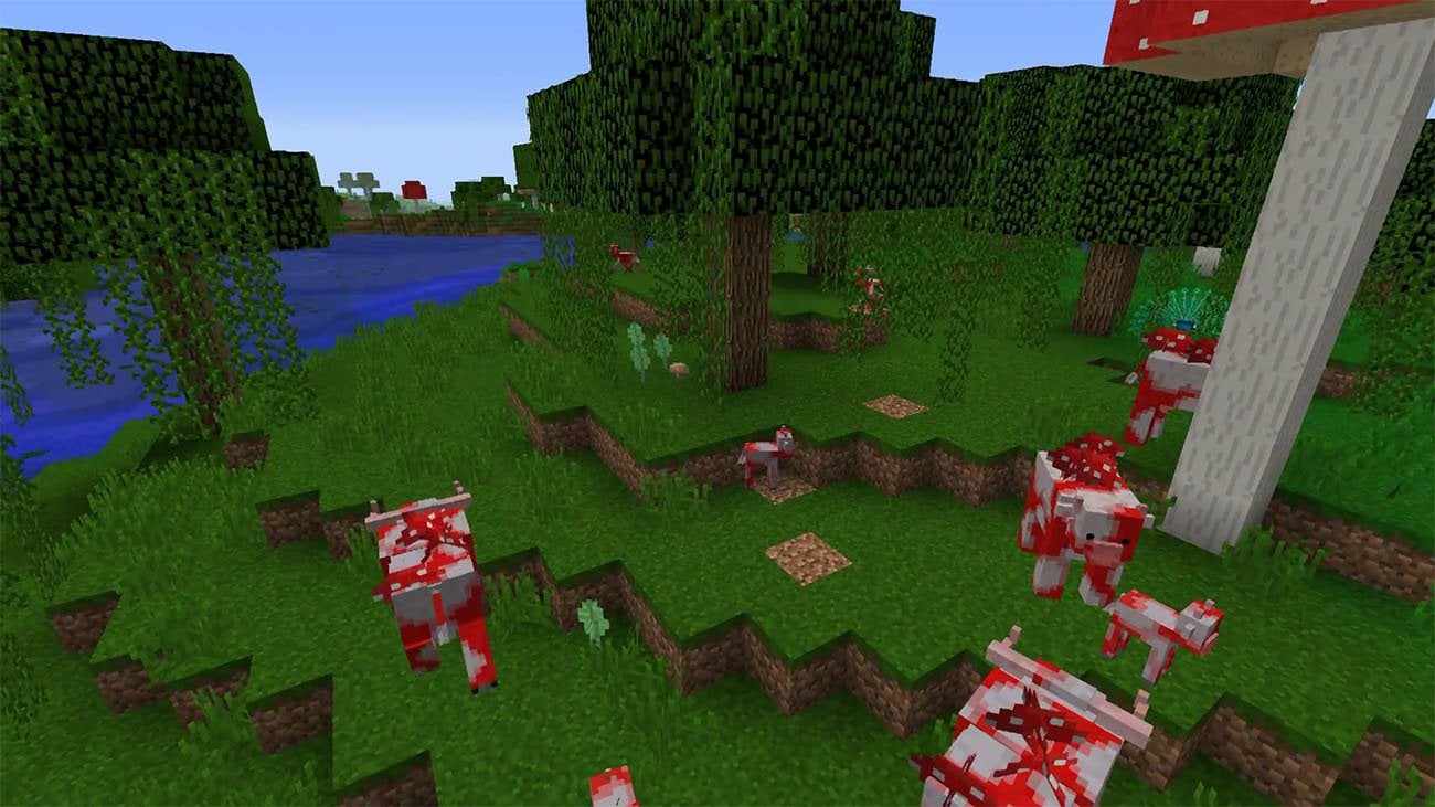 Источник: CQ.ru / Animania