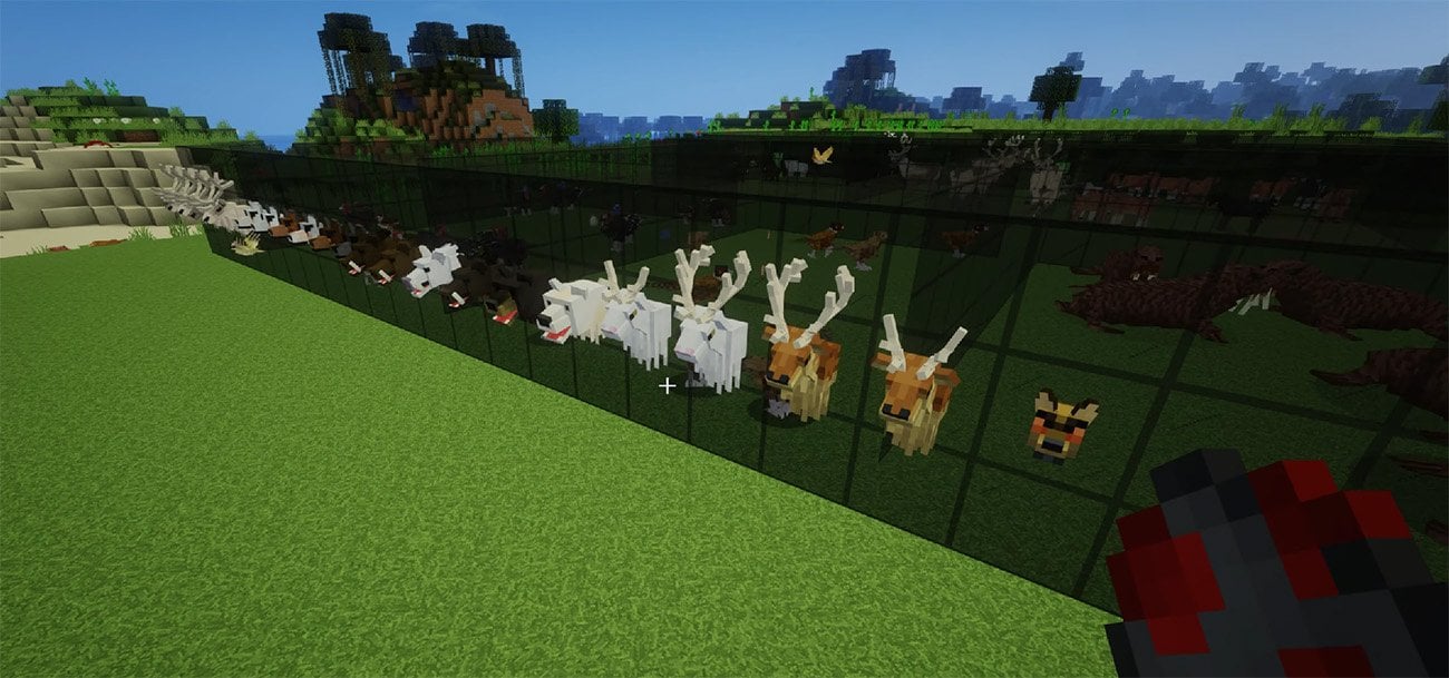 Источник: CQ.ru / Better Animals Plus