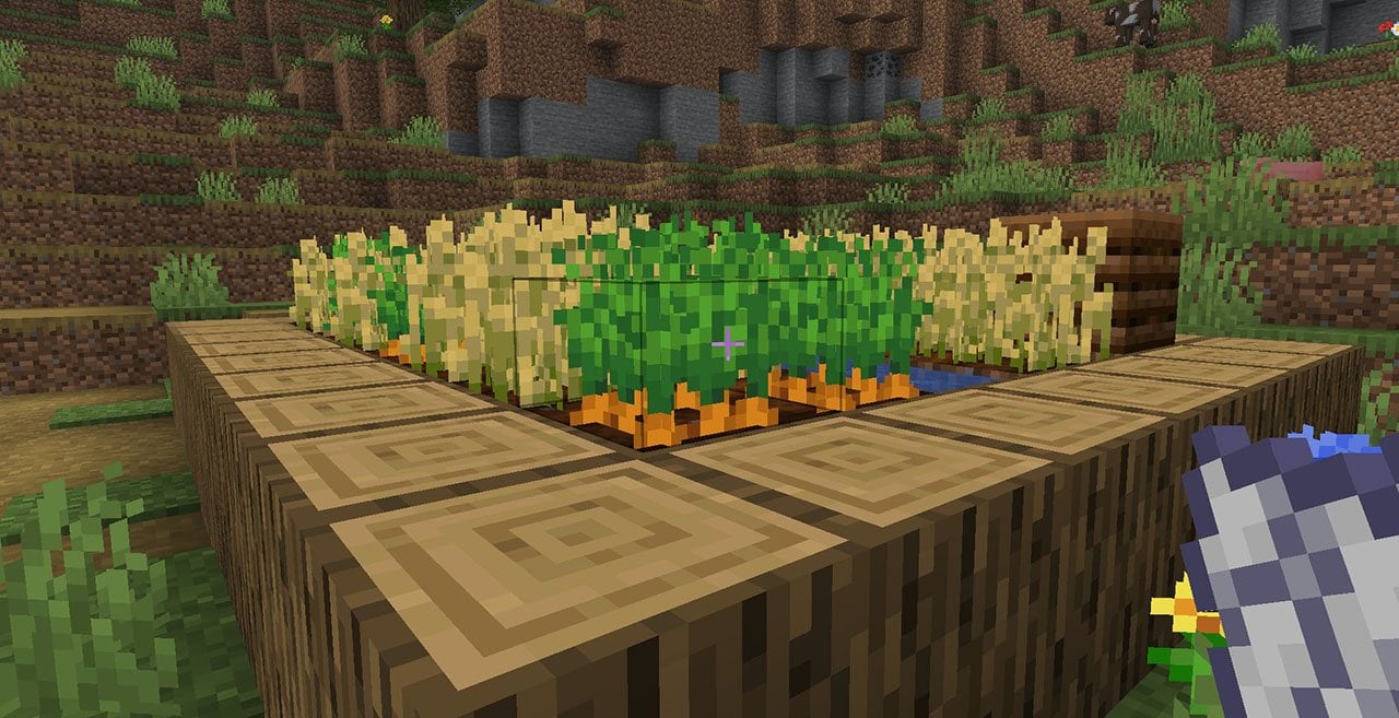 Источник: CQ.ru / Грядка так и манит