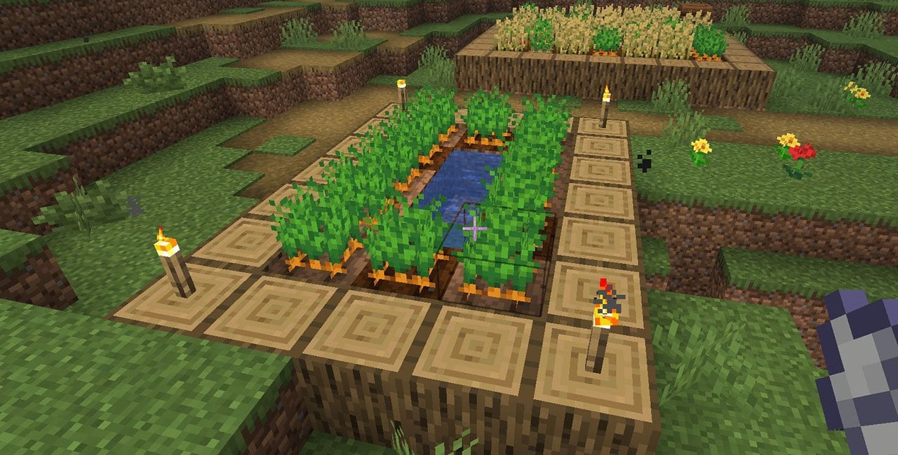 Источник: CQ.ru / Небольшая морковная ферма