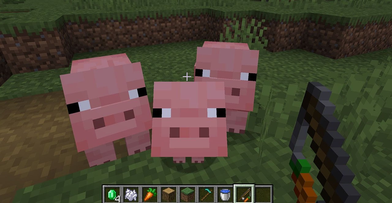 Источник: CQ.ru / Свиньи балдеют с этой прикормки