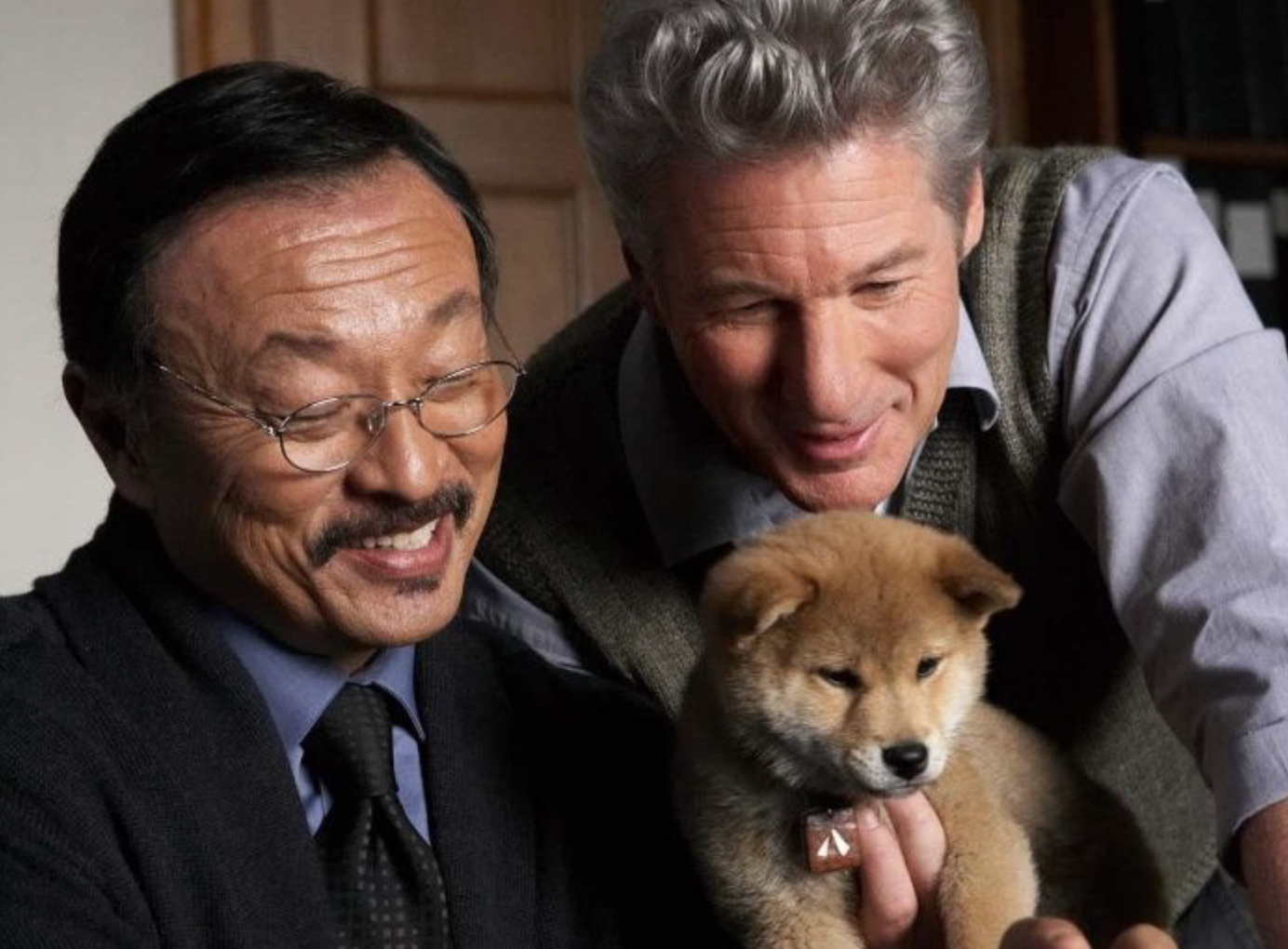 Хатико: самый верный друг