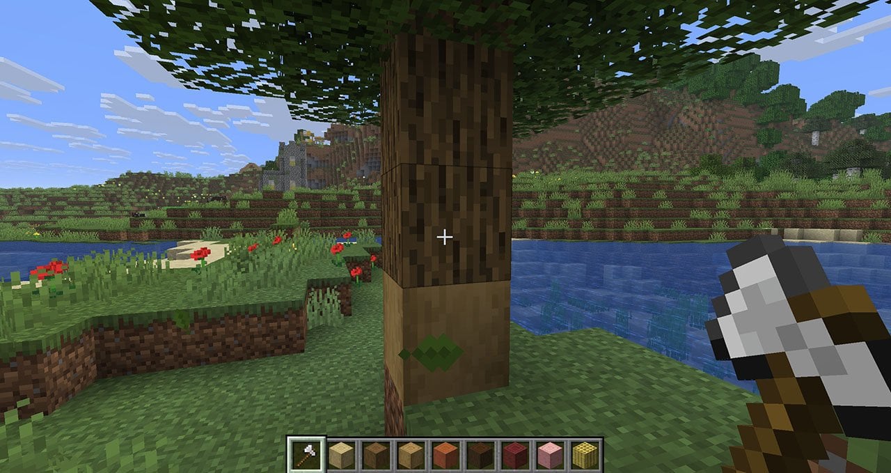 Источник: CQ.ru / Обтесываем дуб в Майнкрафте