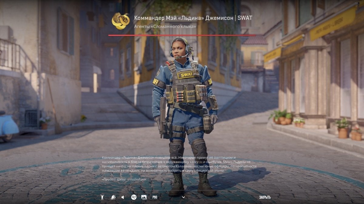 Источник: CQ.ru / Коммандер Мэй «Льдина» Джемисон | SWAT