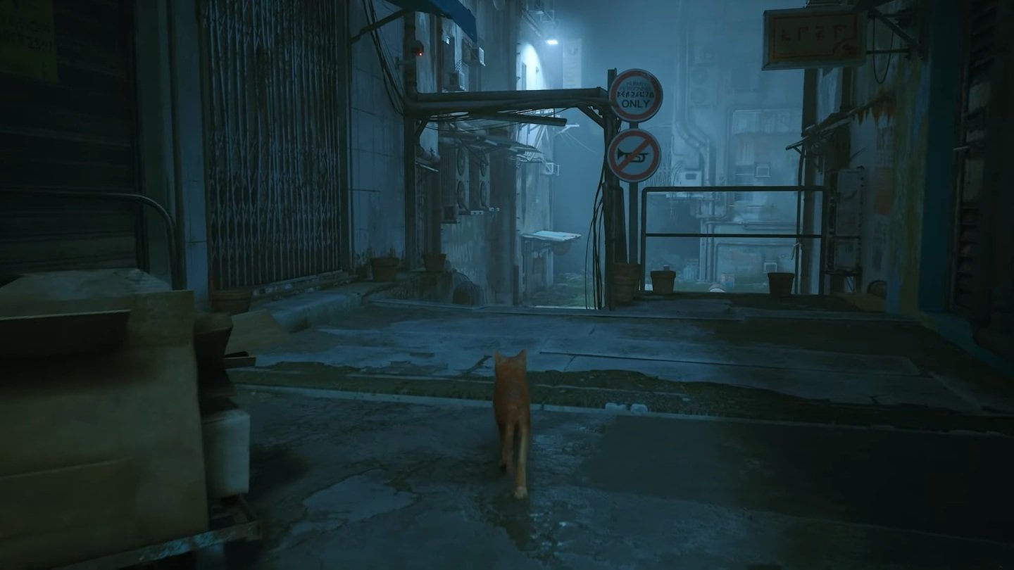 Источник: скриншот CQ.ru / Stray