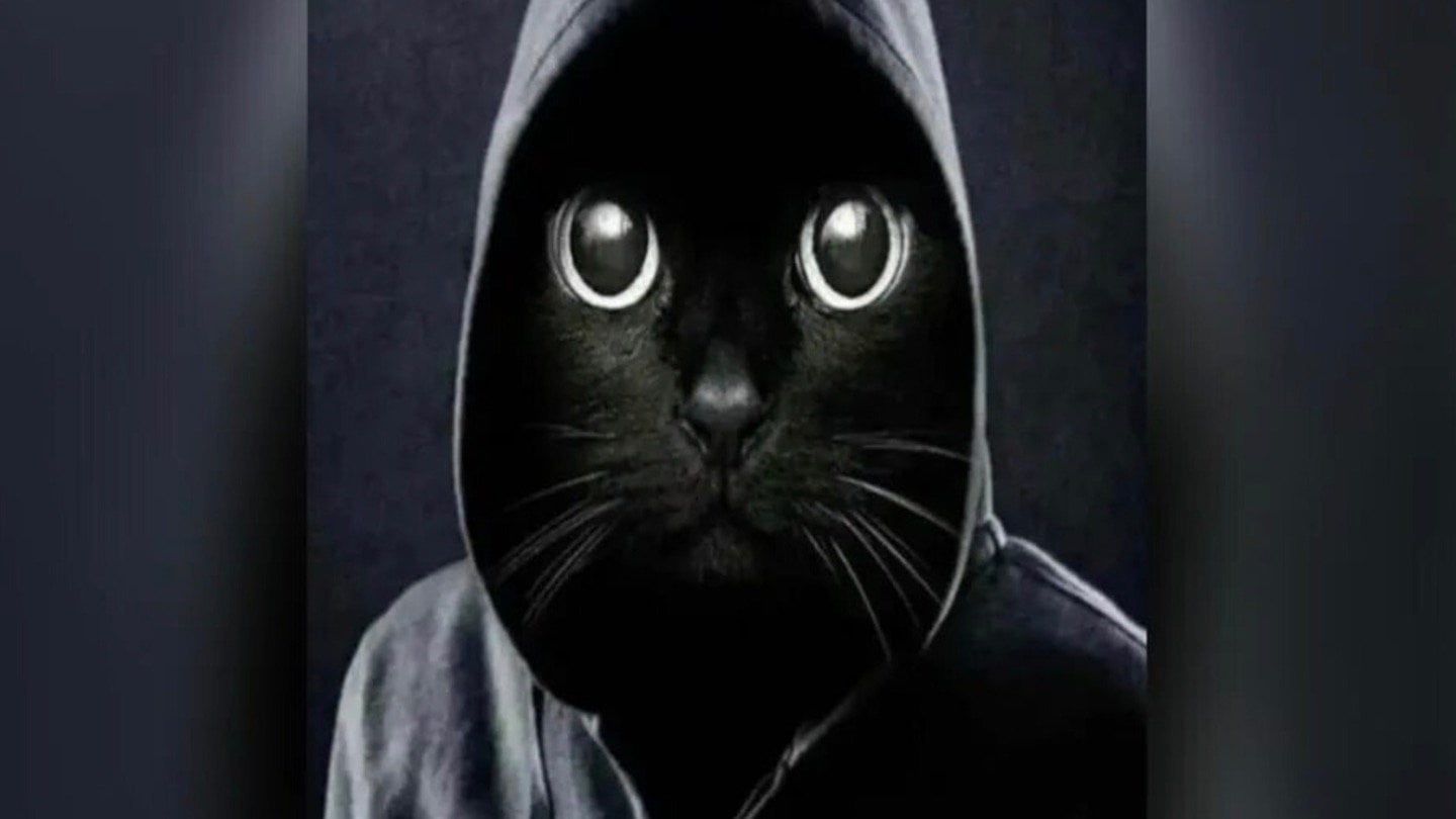 Brand Analytics назвал 25 мемов этого года