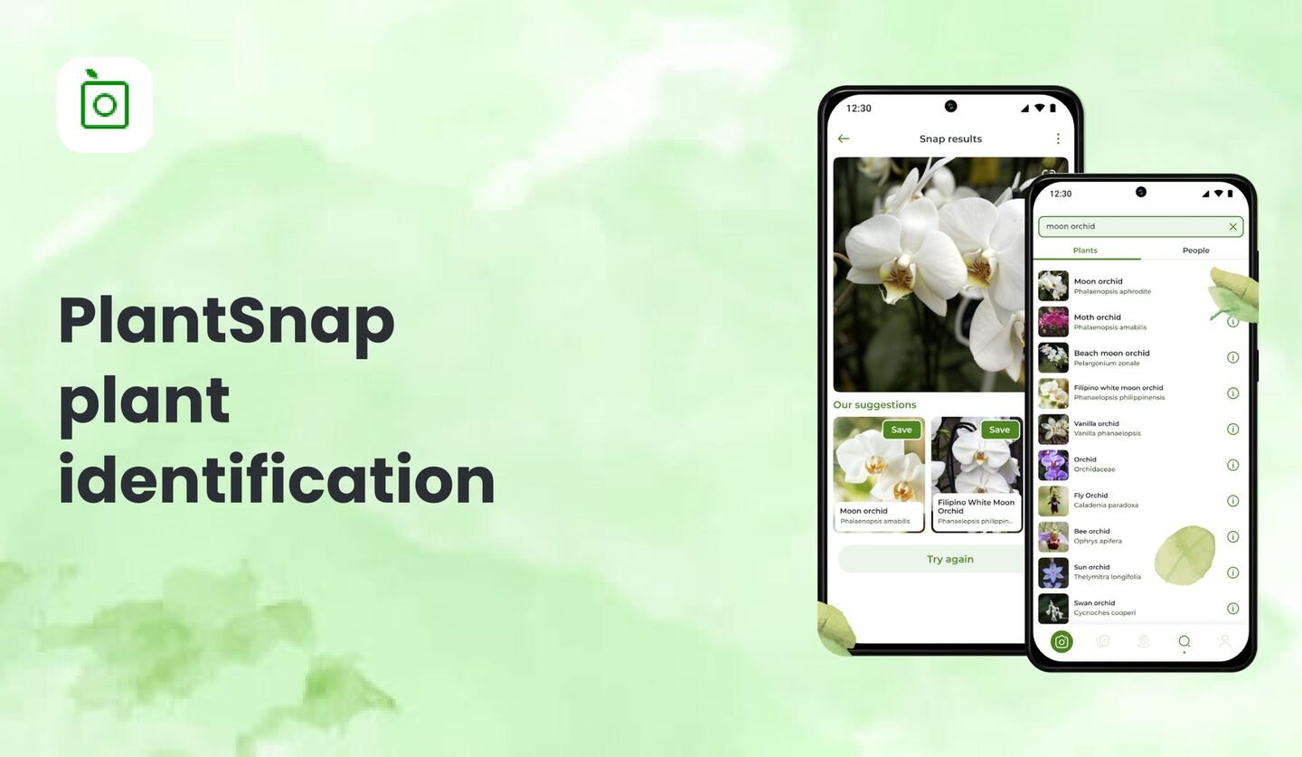 Источник: iTechnolabs / PlantNet