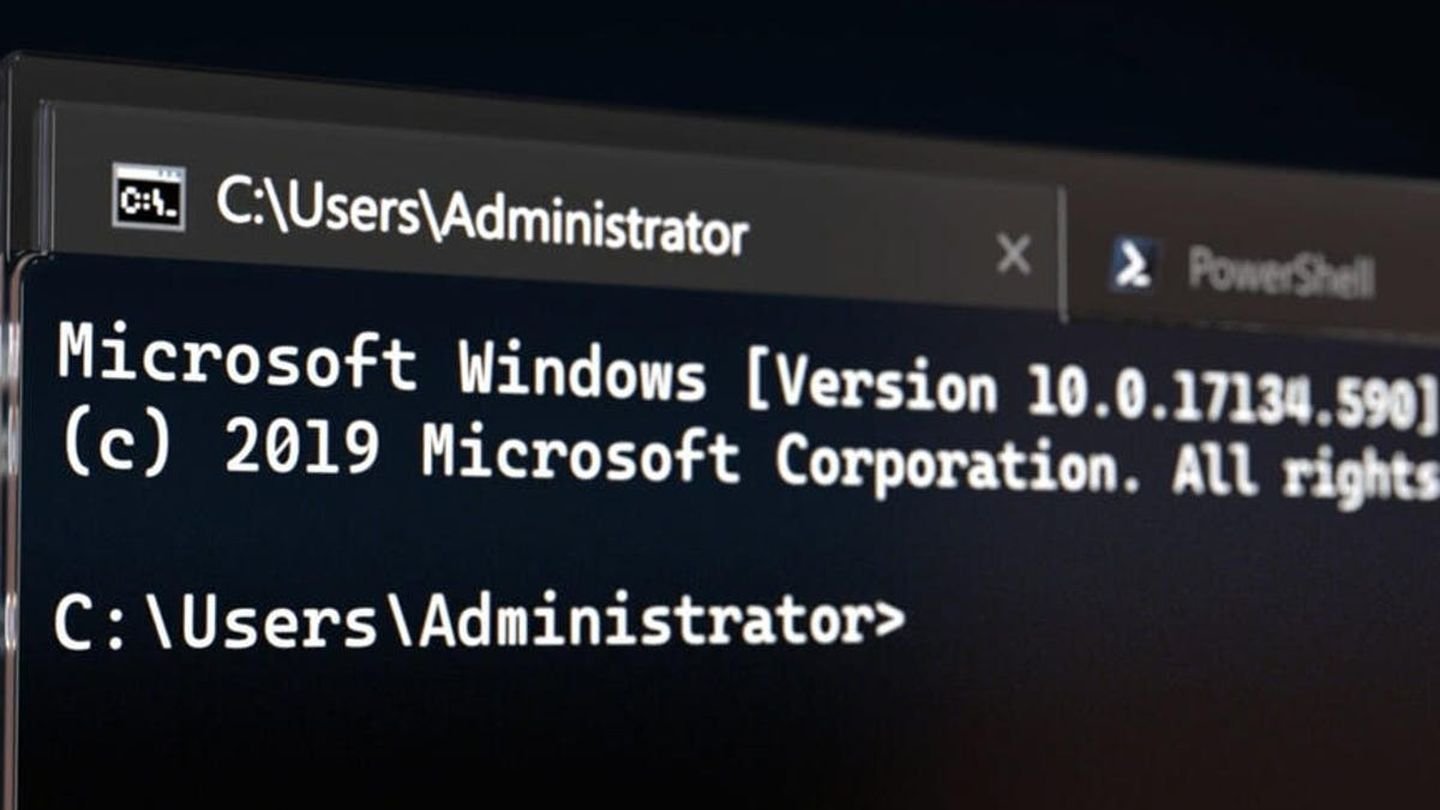 Источник: ZDnet / Изображение Terminal в Windows