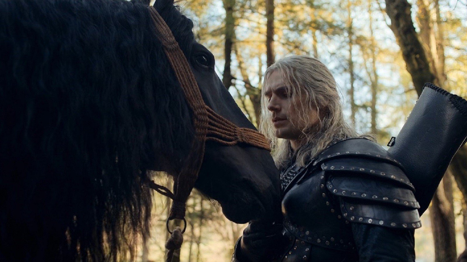 Лучшего друга Геральта больше нет  умер конь сыгравший Плотву в Ведьмаке