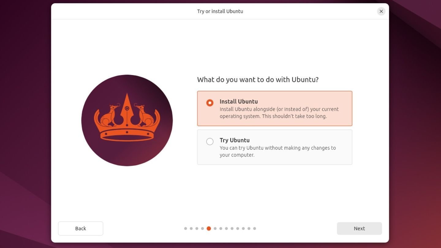 Источник: Ubuntu / Экран установки Linux Ubuntu