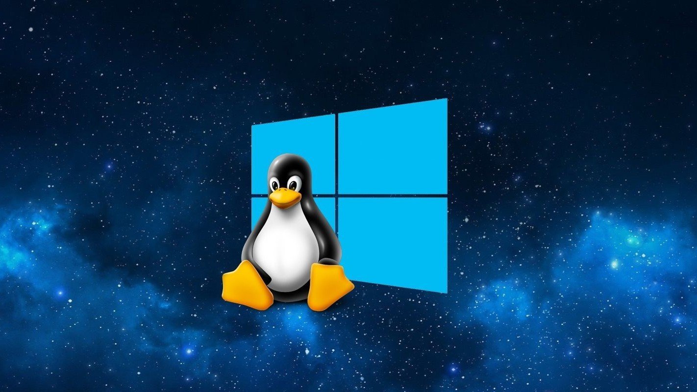 Windows или Linux  что лучше и чем отличаются