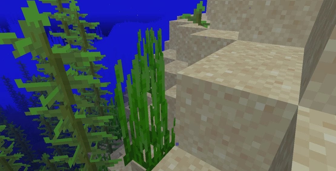 Источник: CQ.ru / Водоросли в Minecraft 