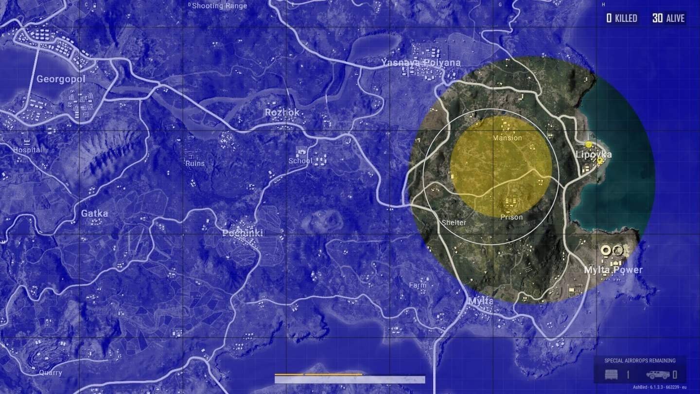 Источник: Reddit / Скриншот PUBG