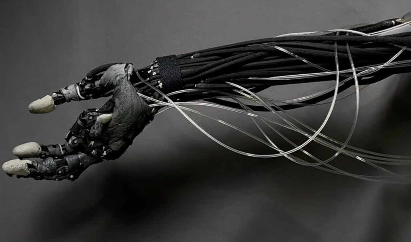 Источник: Vsluh / Protoclone V1 от Clone Robotics