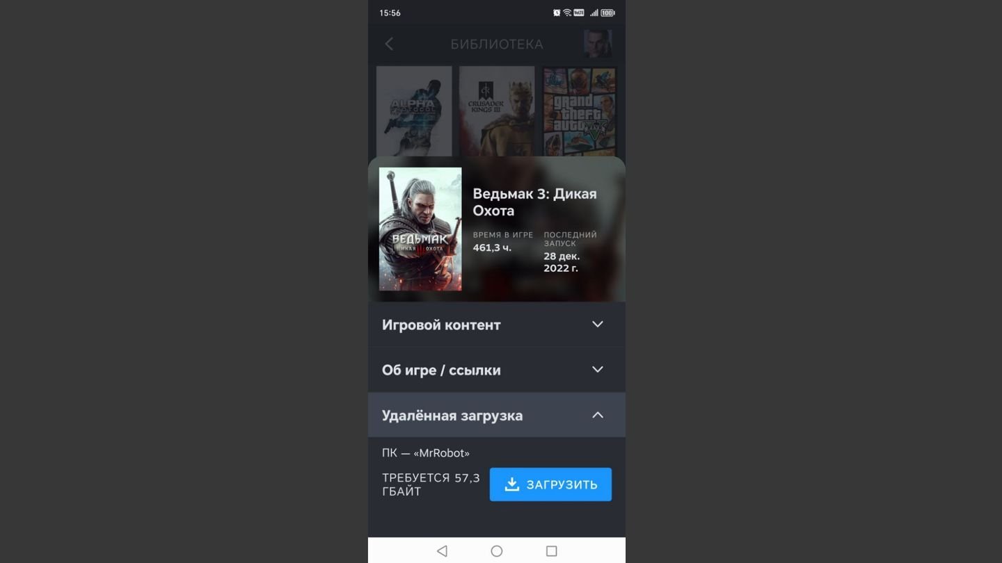Источник: CQ / Приложение Steam