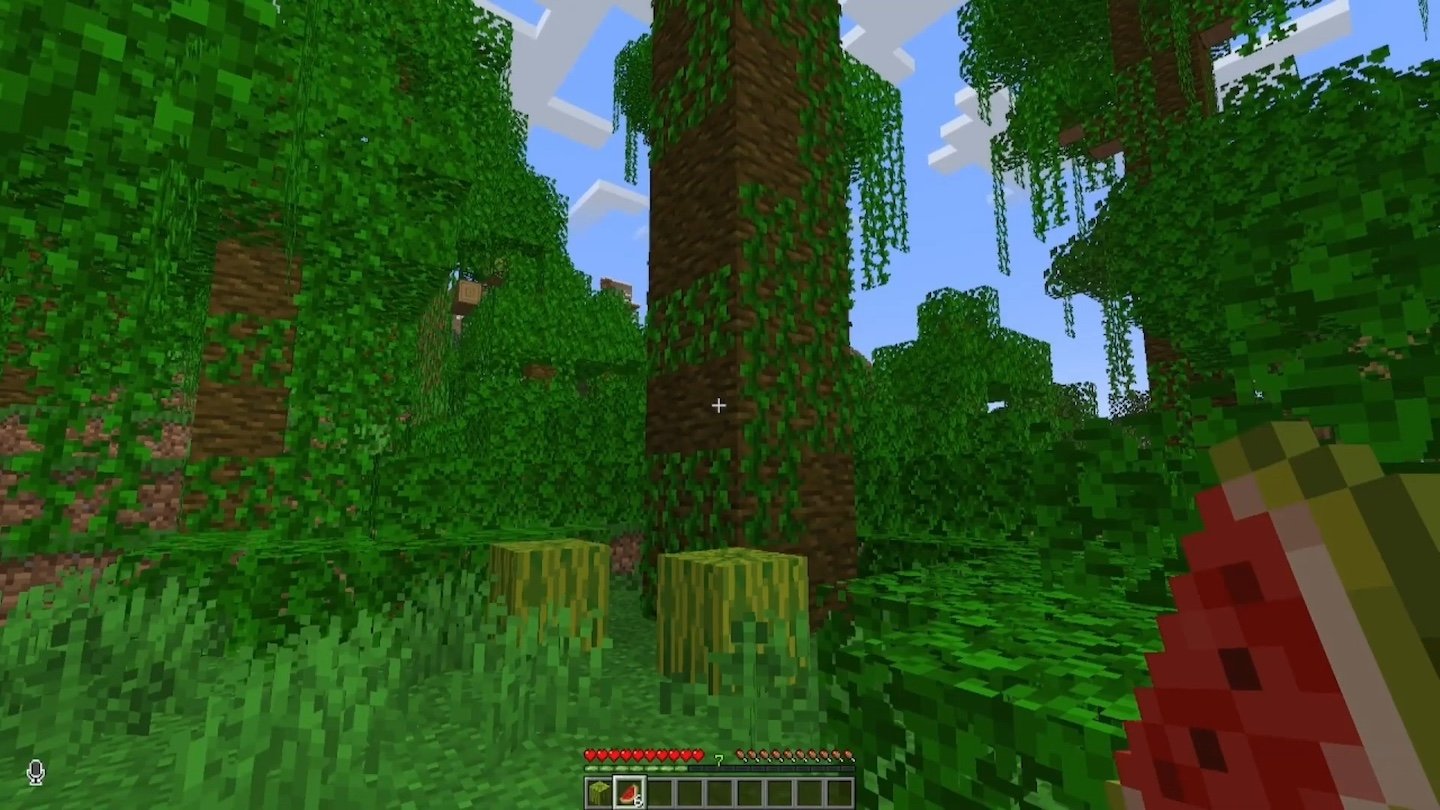 Источник: OddManMC / Арбуз в Minecraft
