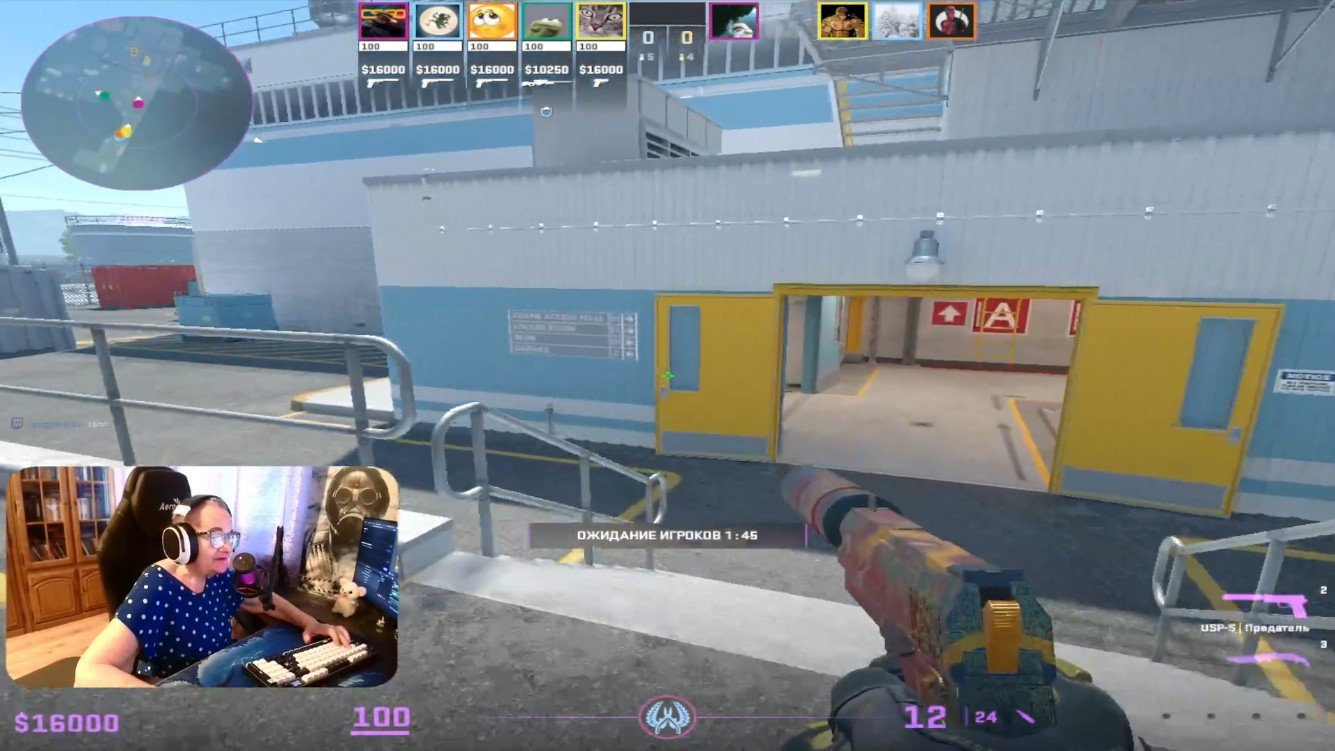 Кадр со стрима Бабушки ольги на Twitch