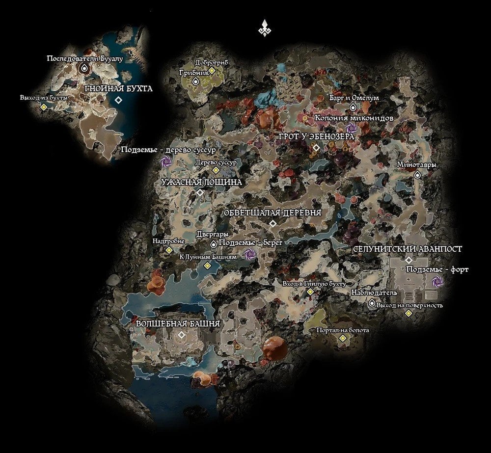 Источник: baldursgate.fandom.com / Карта локации