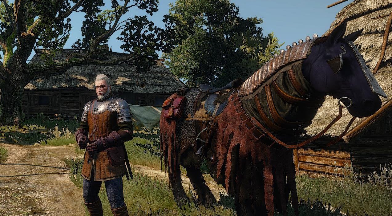 Скриншот The Witcher 3