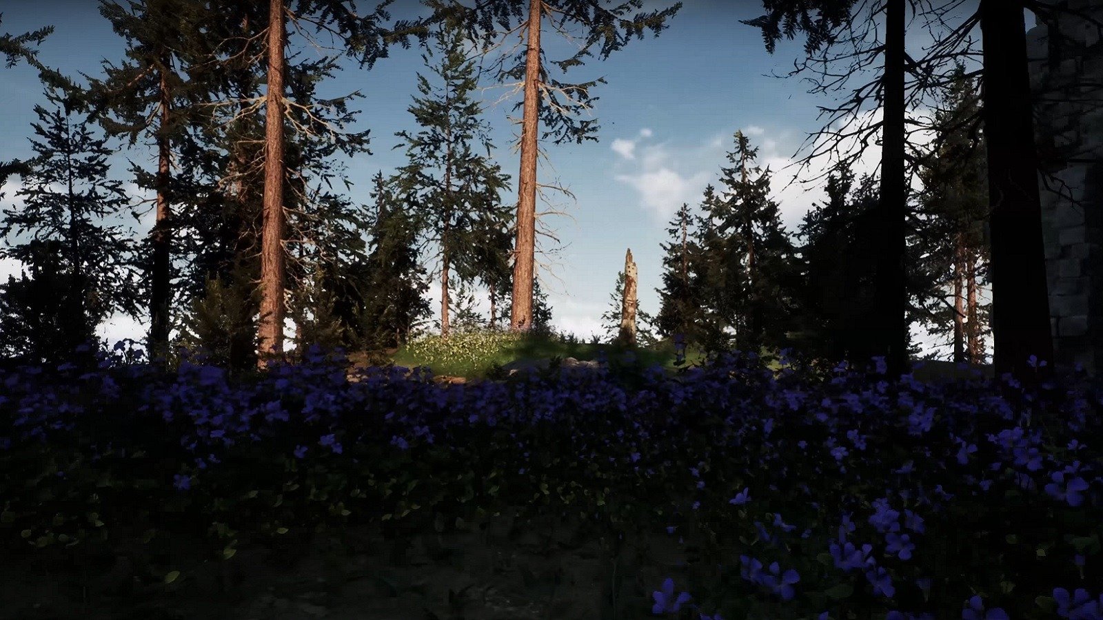 В Steam вышел Alchemy of the Earth  фотореалистичный симулятор алхимика