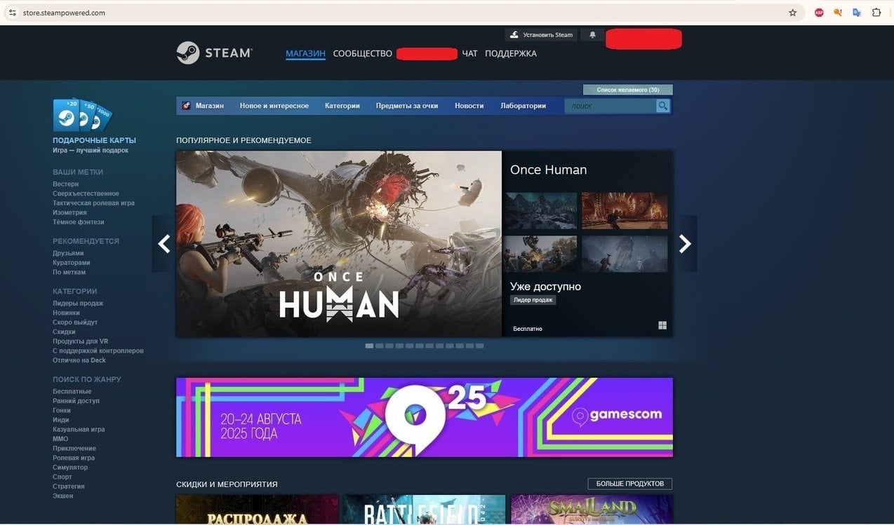 Источник: CQ.ru / Сайт Steam