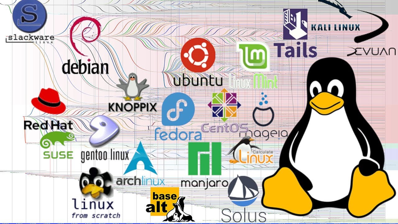 Источник: скриншот CQ.ru / Популярные дистрибутивы Linux