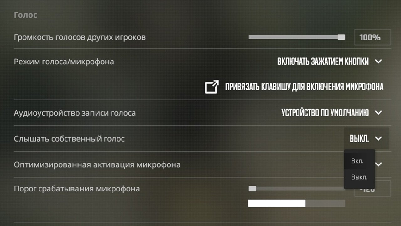 Источник: скриншот CQ.ru / Включение слышимости собственного голоса