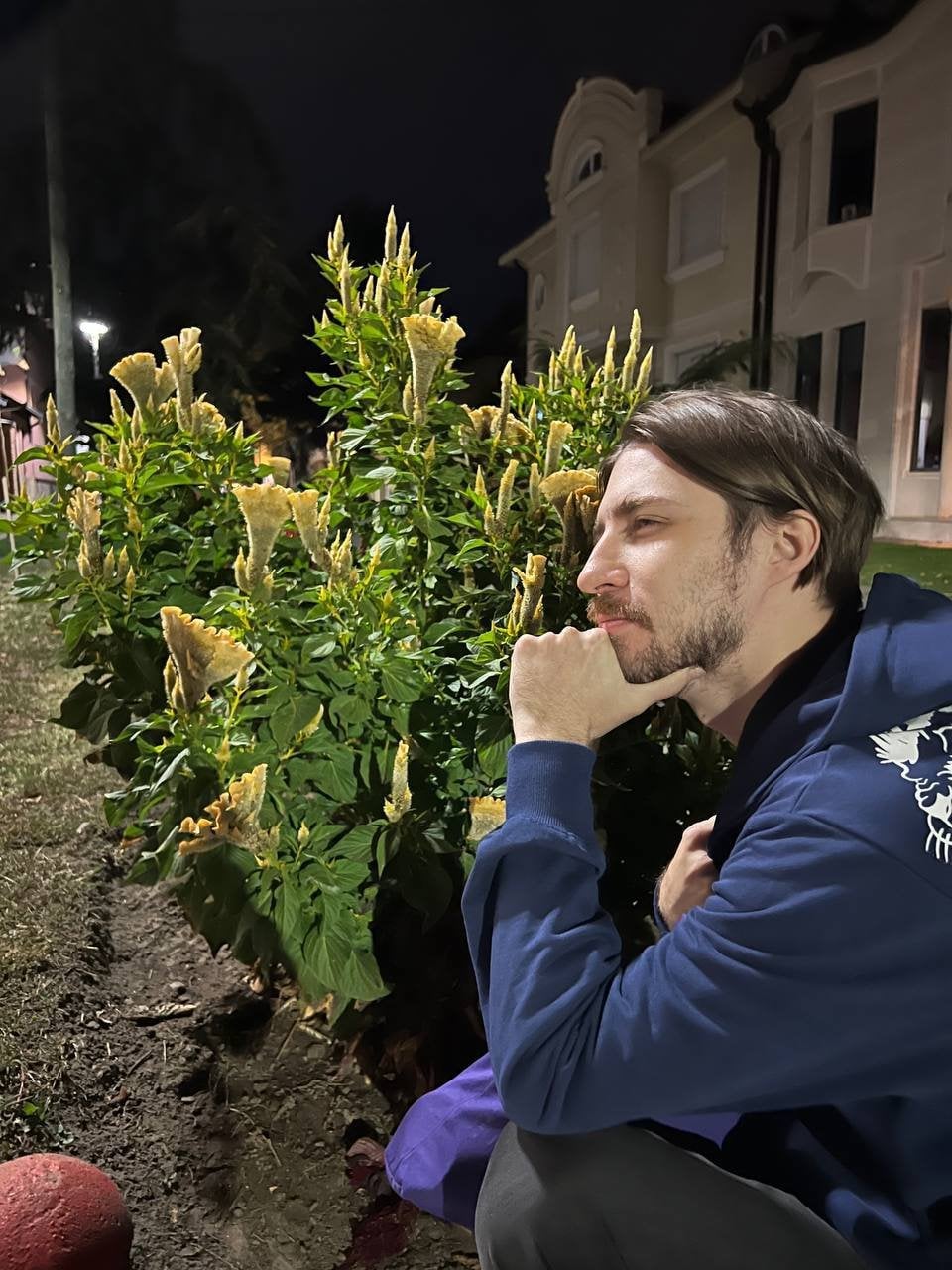 Колдстар любит выкладывать фоточки растений в своем ТГ-канале (ссылка в конце статьи)