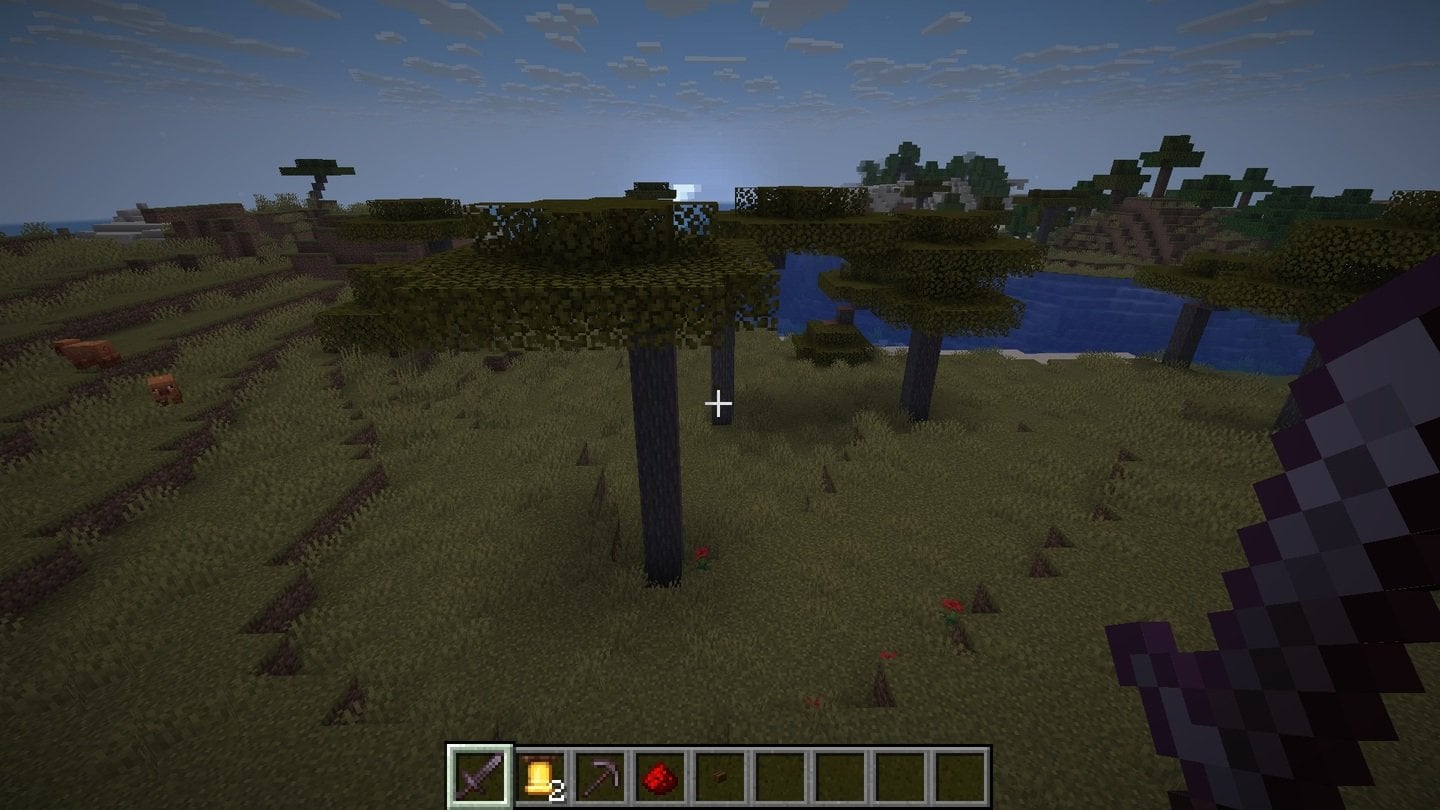 Источник: CQ.ru / Акация