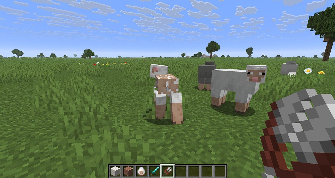 Источник: CQ.ru / Стрижем овец